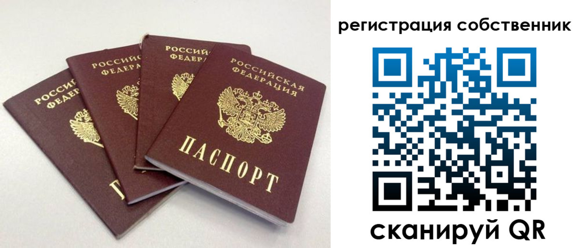 прописка для школы в Приозерске